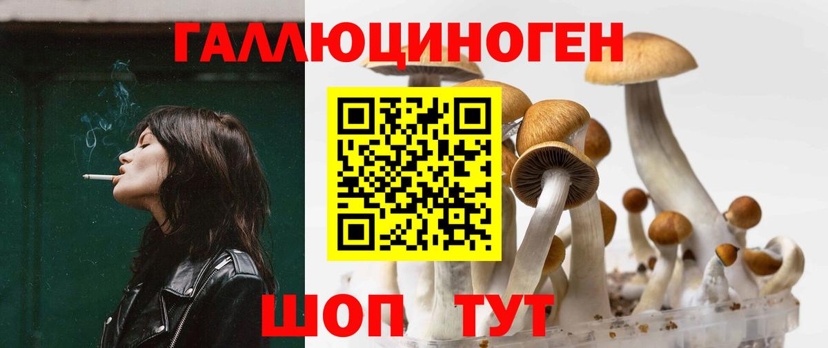 Псилоцибиновые грибы Psilocybe  Вход с VPN  Галлюциногенные грибы Magic Shrooms  Красногорск 